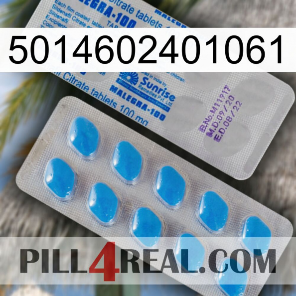 5014602401061 new15